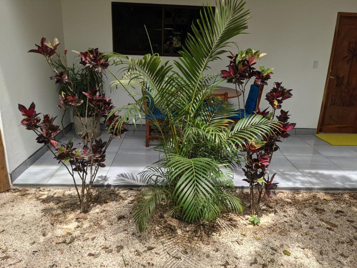 Nosara Paradise Rentals Exterior foto